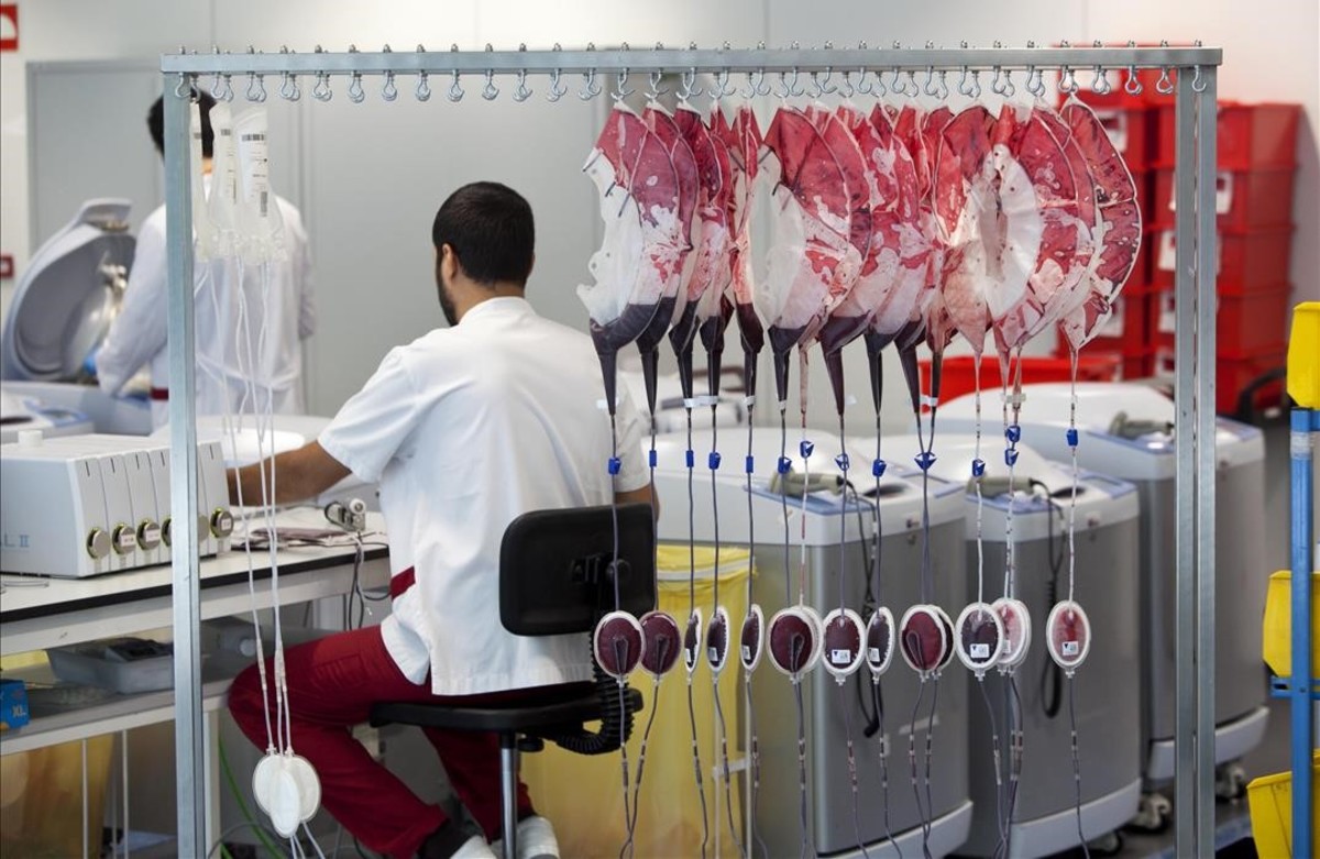 A Jehovah’s Witness Wins the Battle for Bloodless Surgery in Catalonia