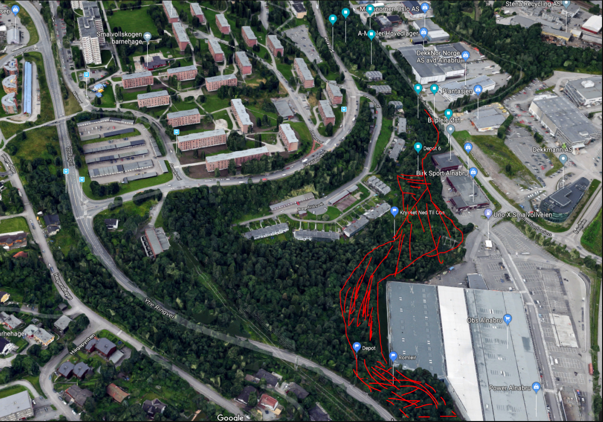 Alnabru fra Riis Bilglass og skogen over OBS v/Gangvegbro