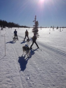 Snørekjøring Klettvollen