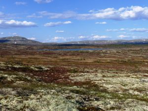 Utsikt fra Klettane mot Storhøgda og Borveggen.