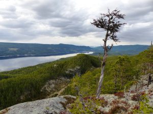 Utsikt fra Skarkampan utover Storsjøen.