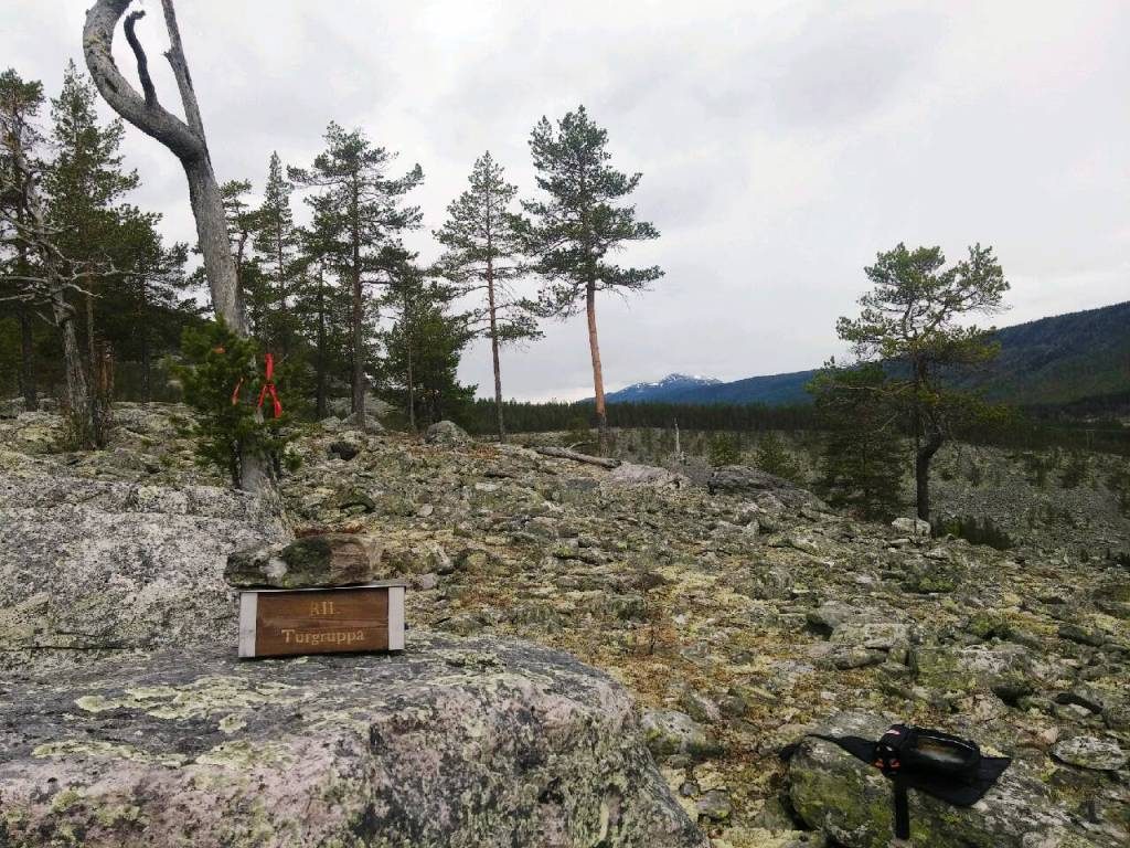 Utsikt fra "Brannflata" sør for Jutulhogget. 477 moh.