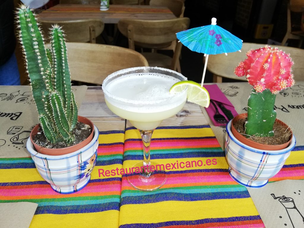 Margarita entre cactus