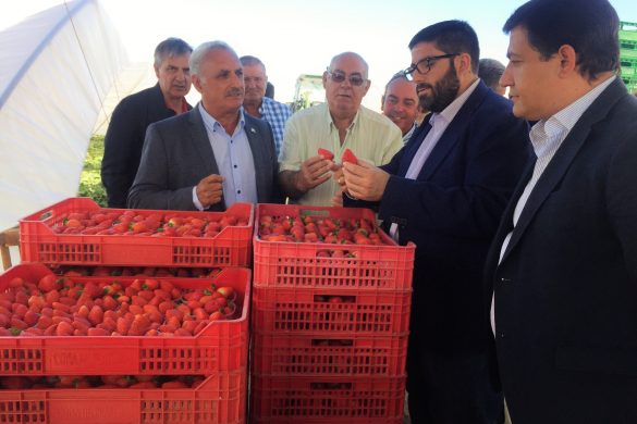 EL PRESIDENTE DE LA DIPUTACIÓN DESTACA LA IMPLANTACIÓN DE NUEVOS PROYECTOS DE INVERNADEROS EN EL CAMPO ABULENSE