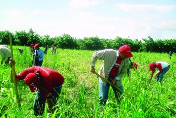 Venezuelan farmers to benefit from increased production network