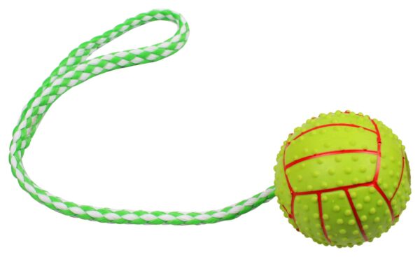 Hundelegetøj bold med reb