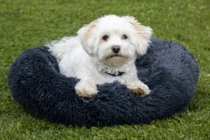 Fluffy hundeseng