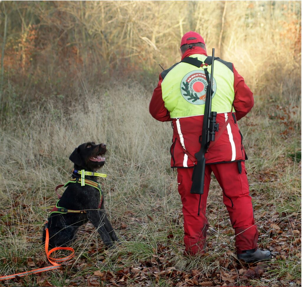 Dette billede har en tom ALT-egenskab (billedbeskrivelse). Filnavnet er Kim-Lindgren-schweizzhundefoerer-1-1024x975.jpg