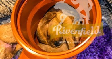 Röret, Musikalkullen