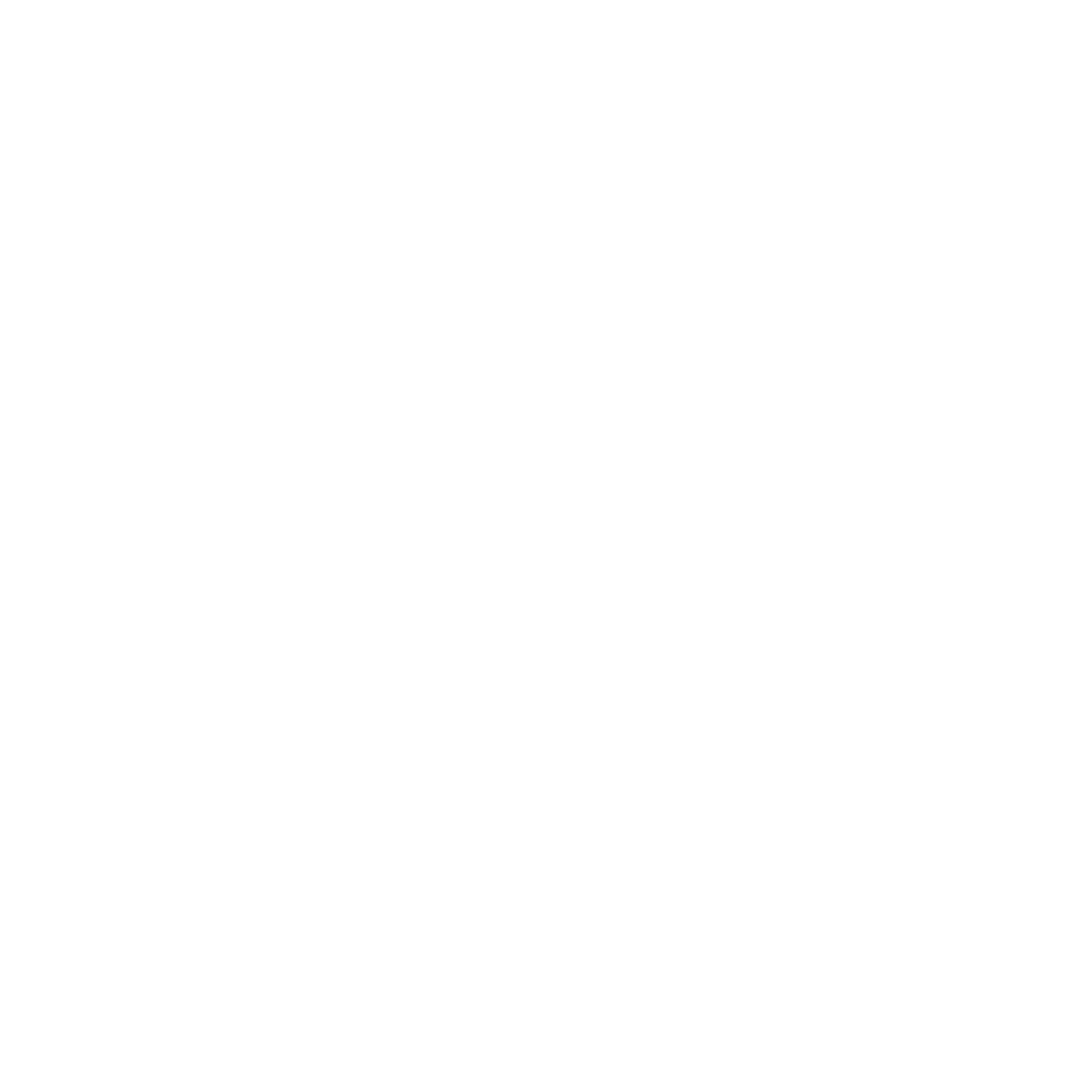 Gas Analyzer Specification