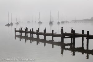 Stimmungsvolles Foto vom Ammersee im Nebel bei Diessen