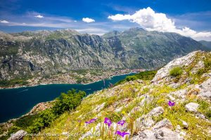 Die Bucht von Kotor in Montenegro
