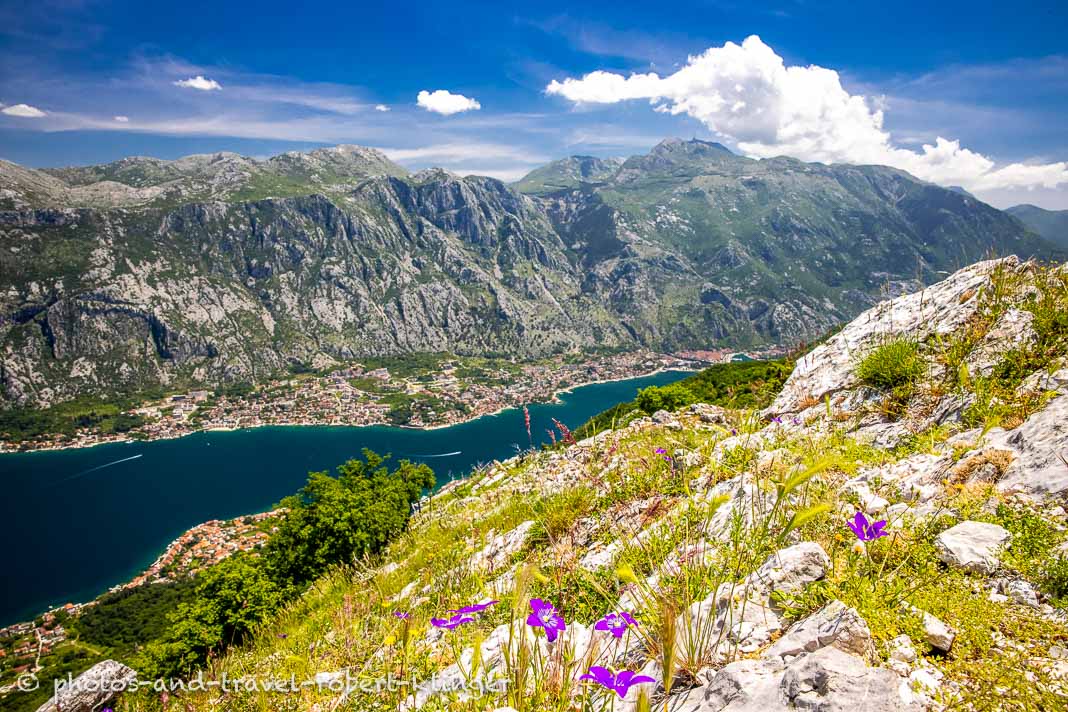 Die Bucht von Kotor in Montenegro