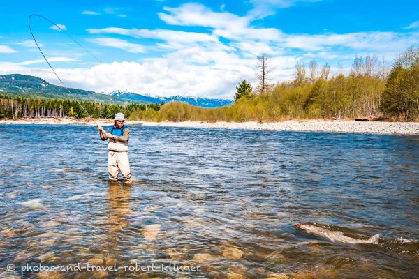 Ein Fliegenfischer am Kitimat River in Britisch Kolumbien in Kanada