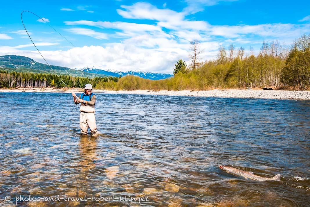 Ein Fliegenfischer am Kitimat River in Britisch Kolumbien in Kanada