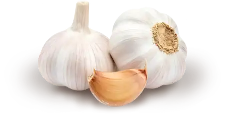 Robert Garlic