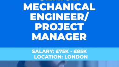 Senior Mechanical Engineer - Project Manager Vacancy - London UK