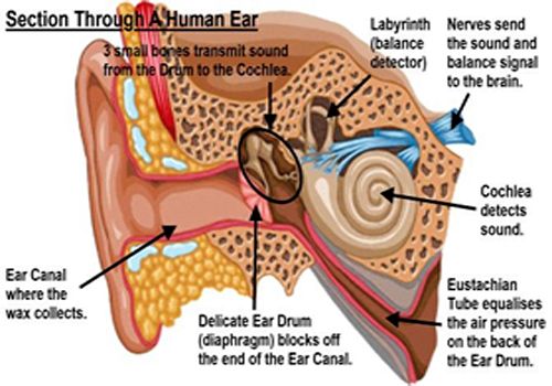 rochdale ear care clinic