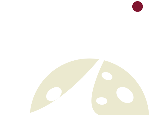 connectgraphic
