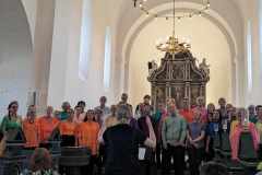 koncert-vestervig-kirke-6