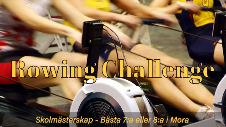 Skolmästerskap – Rowing Challenge