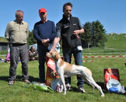 Utstilling Ølberg 2013