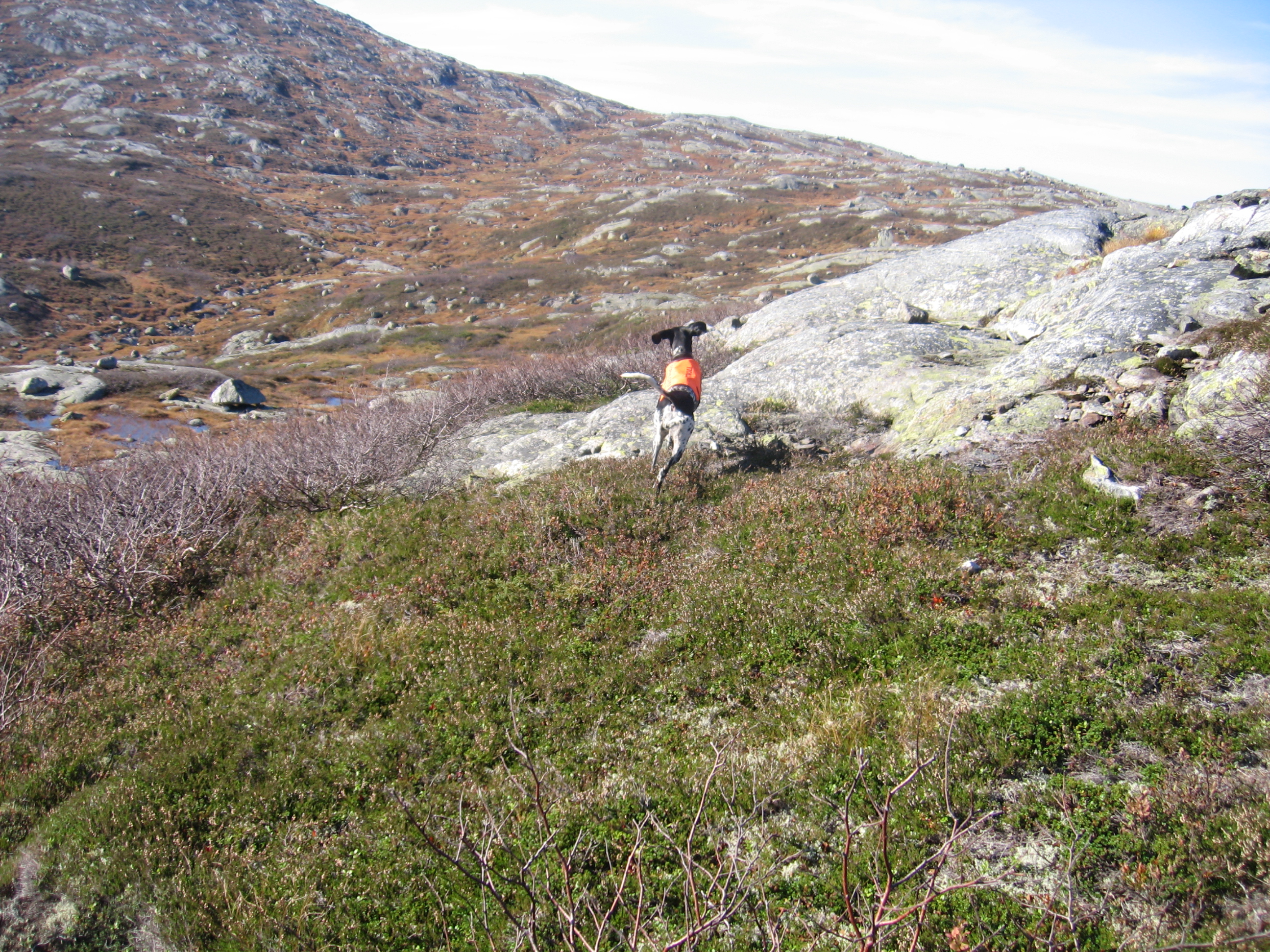 Informasjon om treningsterreng Holmavatn / Njardarheim