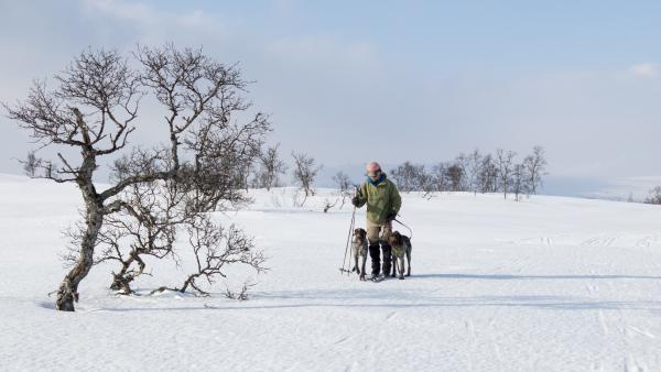 Velkommen til Sirdal Vinter 2