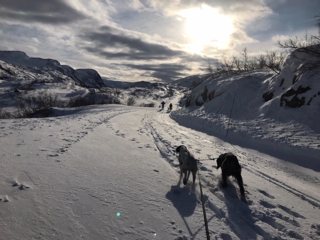 Velkommen til Sirdal Vinter 1