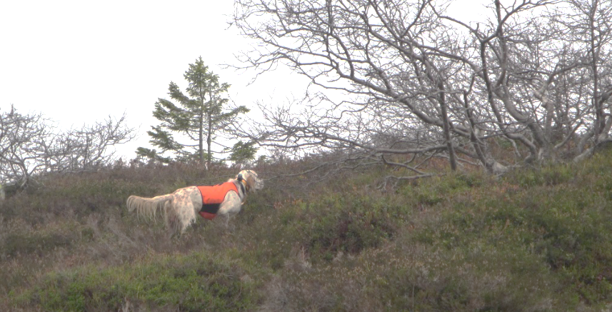 Velkommen til Sirdal Høst, fullkombinert og treningssamling på samme helg!