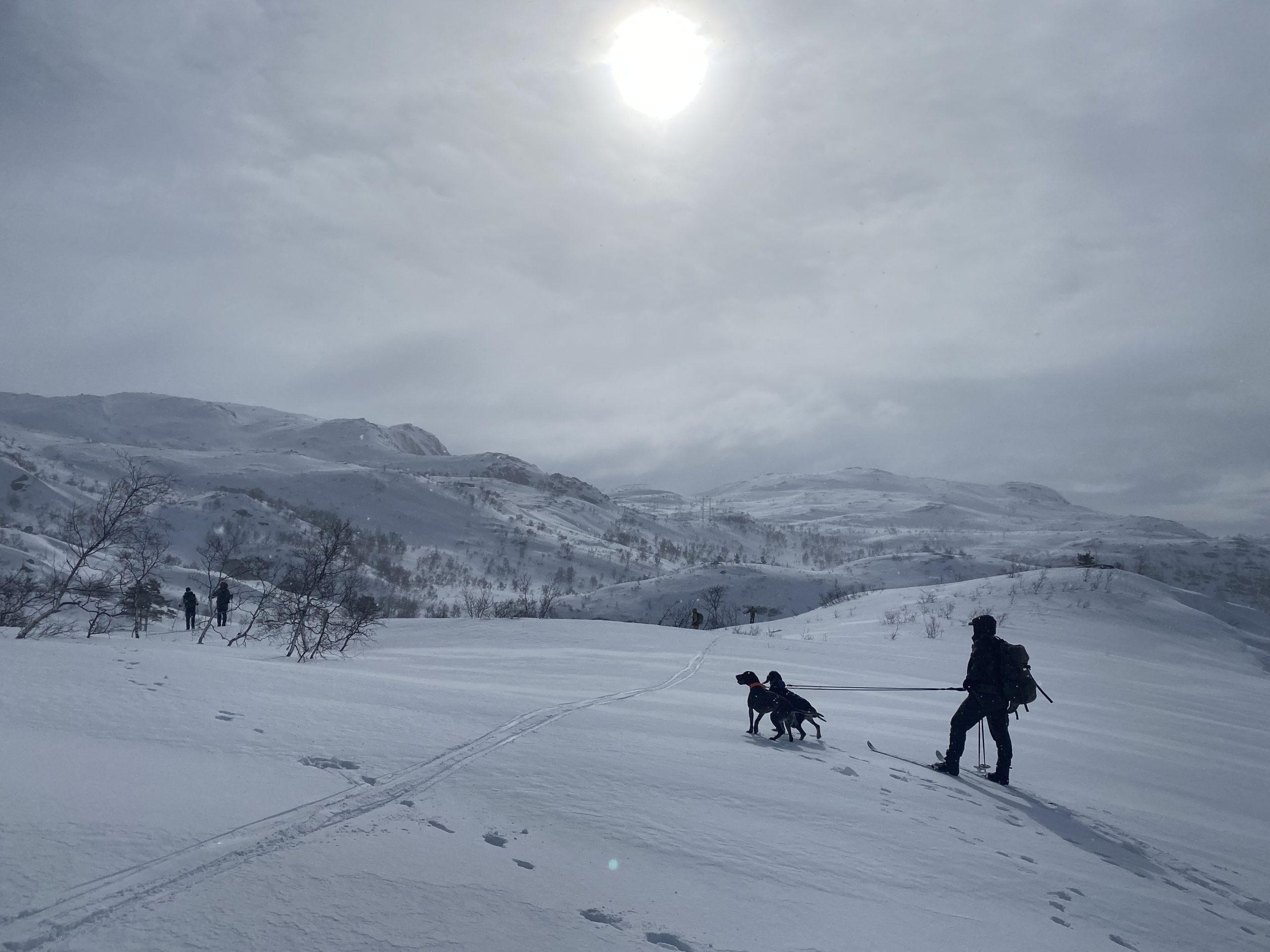 Referat fra Sirdal Vinter 2