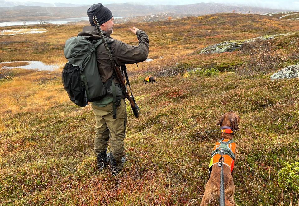 Forskningsprosjekt på jaktuttak av lirype og skogsfugl