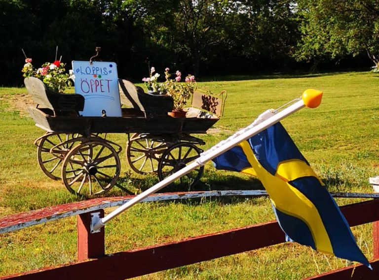 Loppisar Rone socken på Gotland