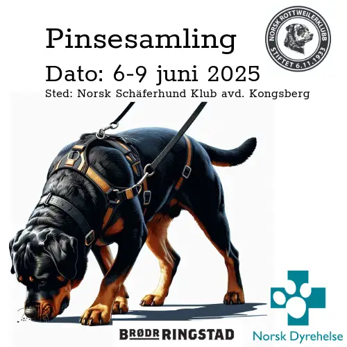 Pinsesamling 2025