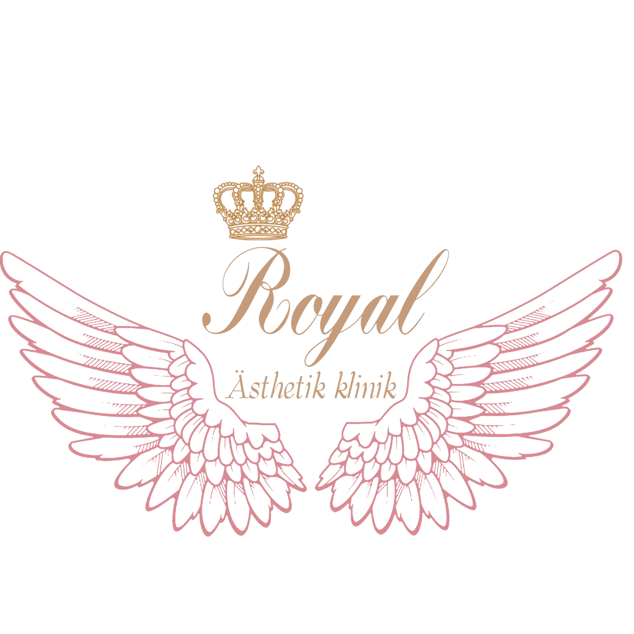 transparent_and_enhanced_logo