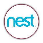 NEST --