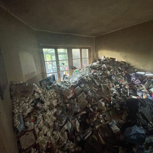 Vorher - Wohnzimmer