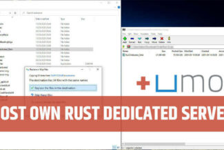 Rust Dedicated Server