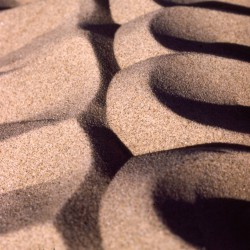 261: Sandart 14