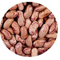 razma-chitkabra