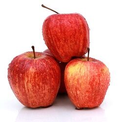 Apple Shimla