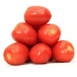 Tomato