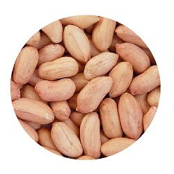 Badam 500 g Pouch