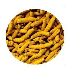 turmeric-haldi-sabut