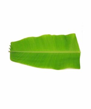 Banana Leaf