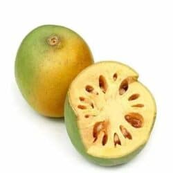 Bael Fruit