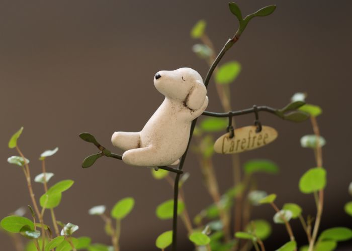 pet memorial ideas