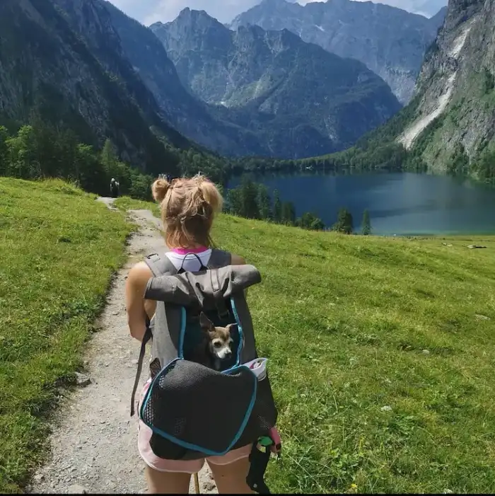 Mountains and lake in the background, a woman hiking, carrying a small pup in her backpack.