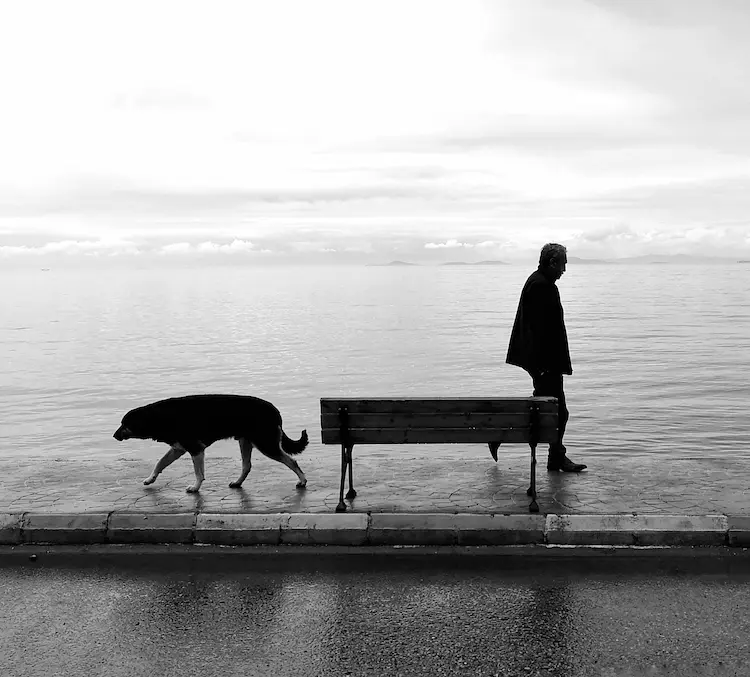 A dog and a man at a lake, walking away from eachother.