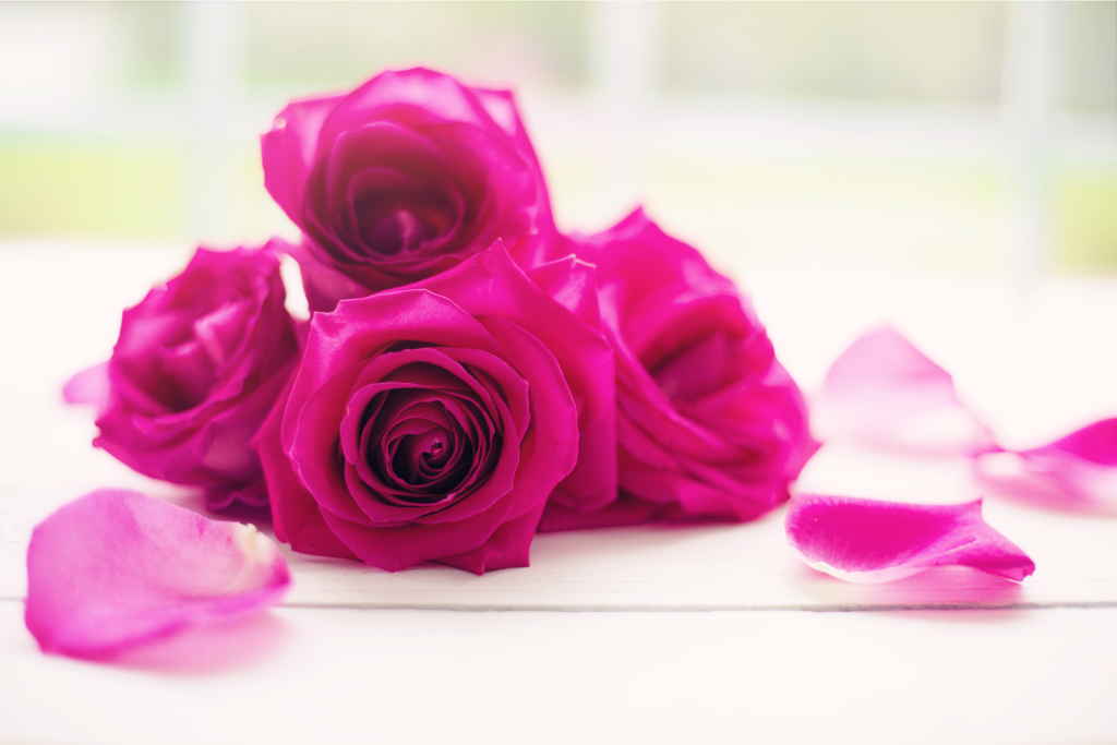125 Great Eulogy Examples for a Mother